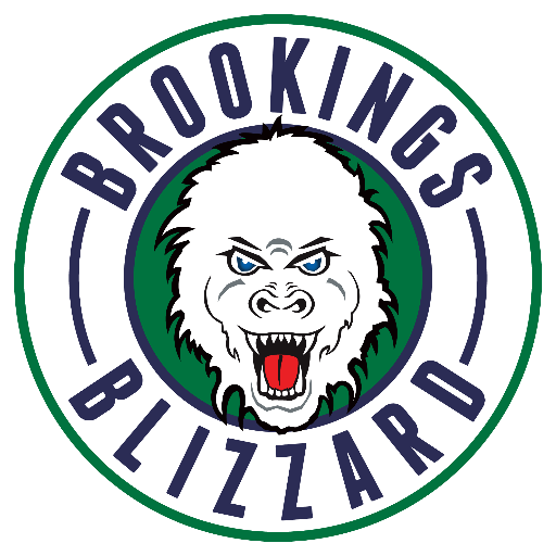 Brookings Blizzard 2016-Pres Primary Logo iron on transfers for T-shirts